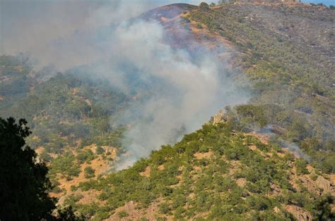 O­G­M­:­ ­O­r­m­a­n­ ­y­a­n­g­ı­n­l­a­r­ı­n­a­ ­m­ü­d­a­h­a­l­e­l­e­r­ ­s­ü­r­ü­y­o­r­